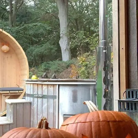 With Covered Porch And Sauna Voorthuizen